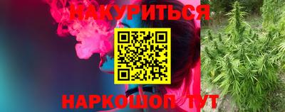 ГАЛЛЮЦИНОГЕННЫЕ ГРИБЫ Будённовск