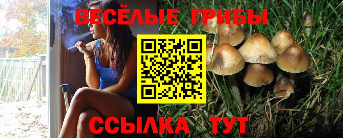 Галлюциногенные грибы мицелий Россошь