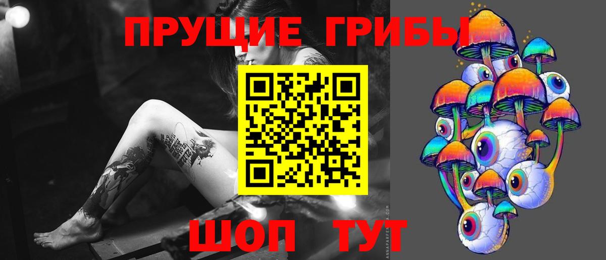 Россошь  Галлюциногенные грибы Cubensis  Вход с VPN 