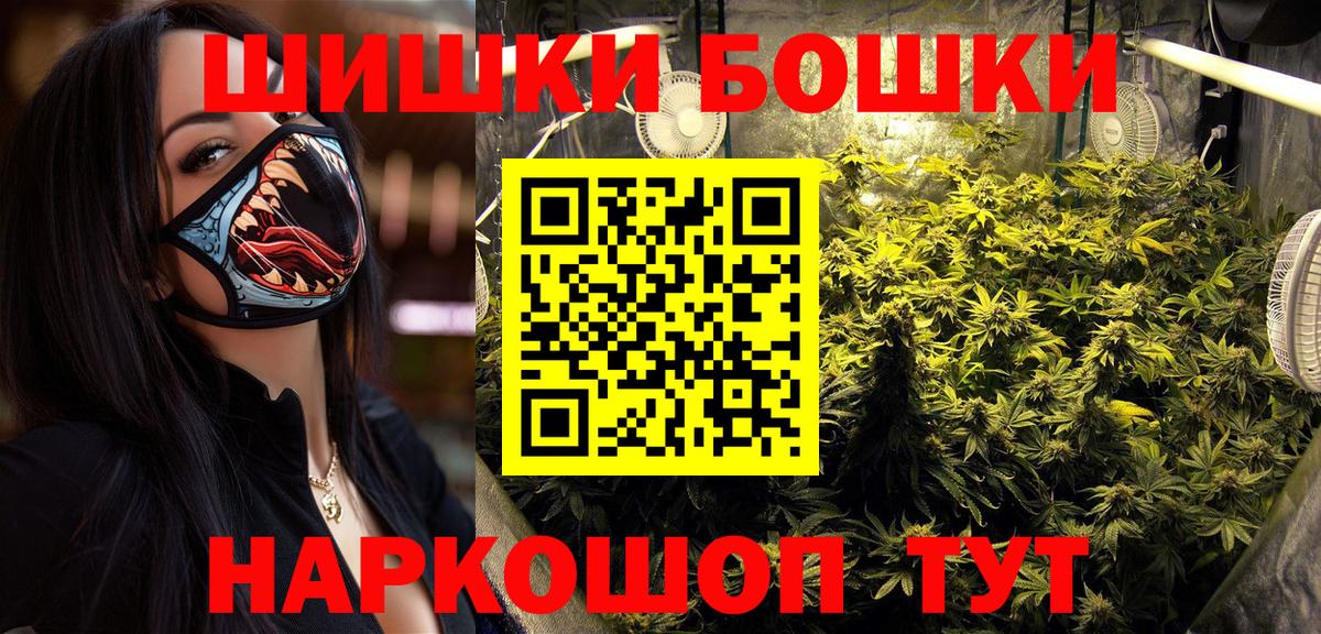 Каннабис ГИДРОПОН  Вход с VPN  МАРИХУАНА SATIVA & INDICA  МАРИХУАНА планчик  Россошь  Канабис сатива 